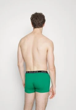 Pier One 5 Pack - Culotte - Beige/Green/Bordeaux -Pier One Mode Outlet Tienda 24c1928296364f26a8ef5a014c963793