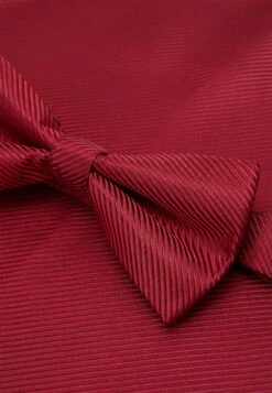 Pier One Set - Corbata - Bordeaux -Pier One Mode Outlet Tienda 78c94279a24a403593e284544b5065b2